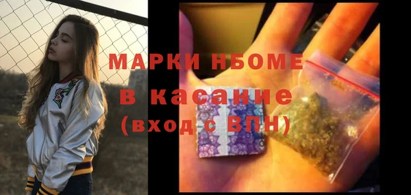 сатива Михайловка