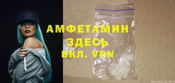 сатива Михайловка