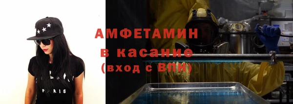 сатива Михайловка