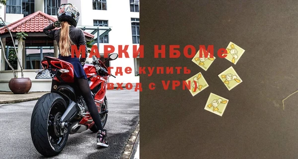 сатива Михайловка