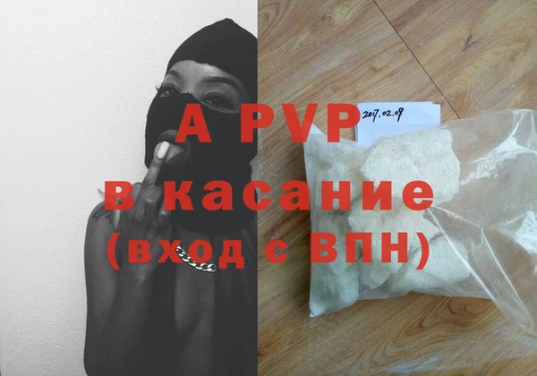 apvp Аша