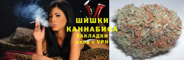apvp Аша