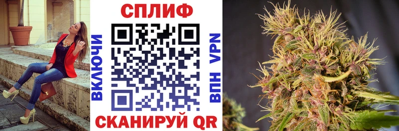 Марихуана MAZAR  блэк спрут tor  Терек  как найти закладки 